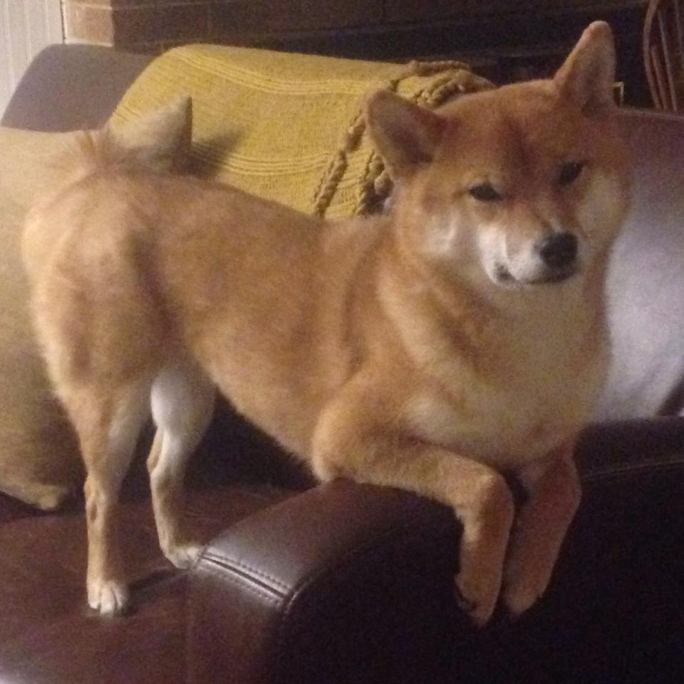 “英超争冠进入终点线，谁能笑到最后？”，英超规则怎么夺冠