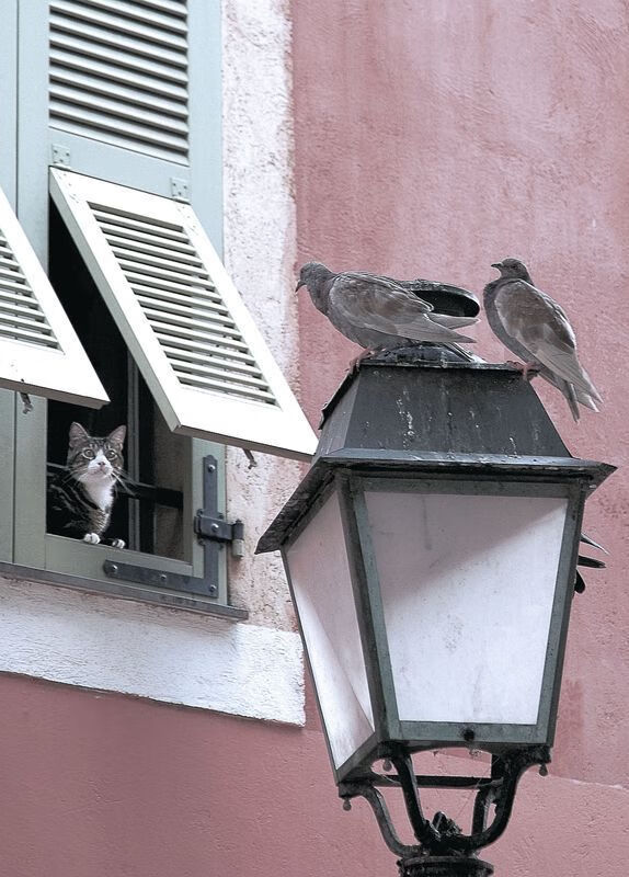 kaiyun app-中国足球产业融合创新发展联盟成立，推动多行业协作，中国足球产业的现状分析