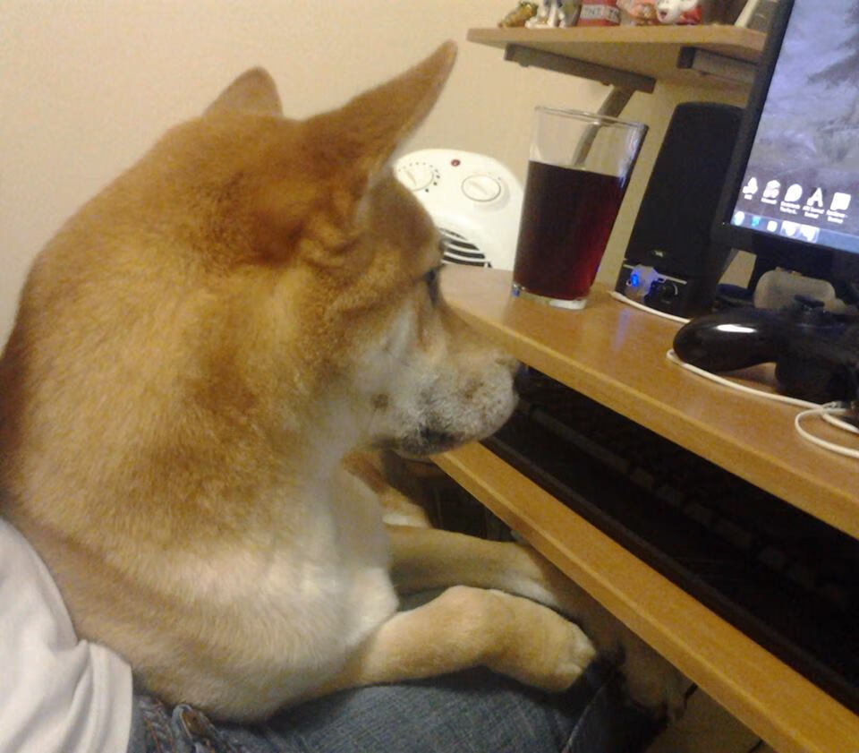 法甲赛事火热进行，精彩进球和扑救令人惊叹，法甲的比赛