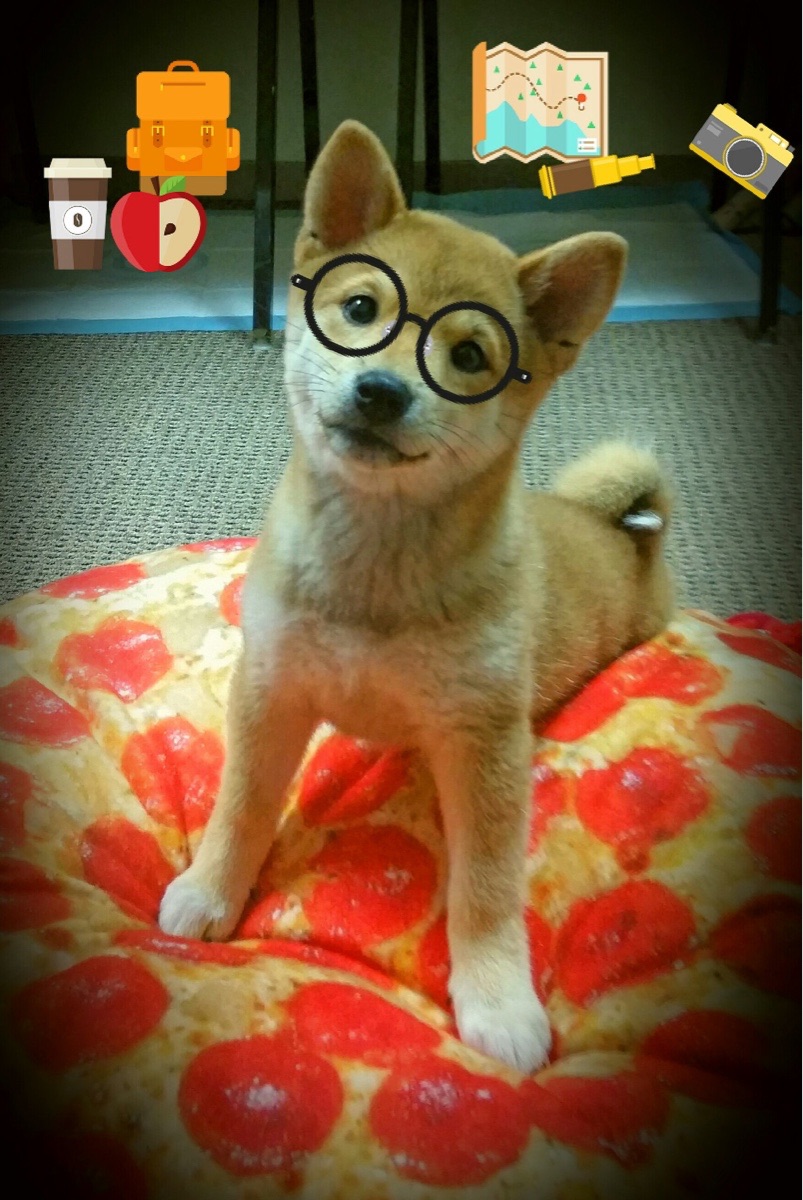 巴朗加国王比赛节奏掌控出色，巴朗加国王比赛节奏掌控出色的球员