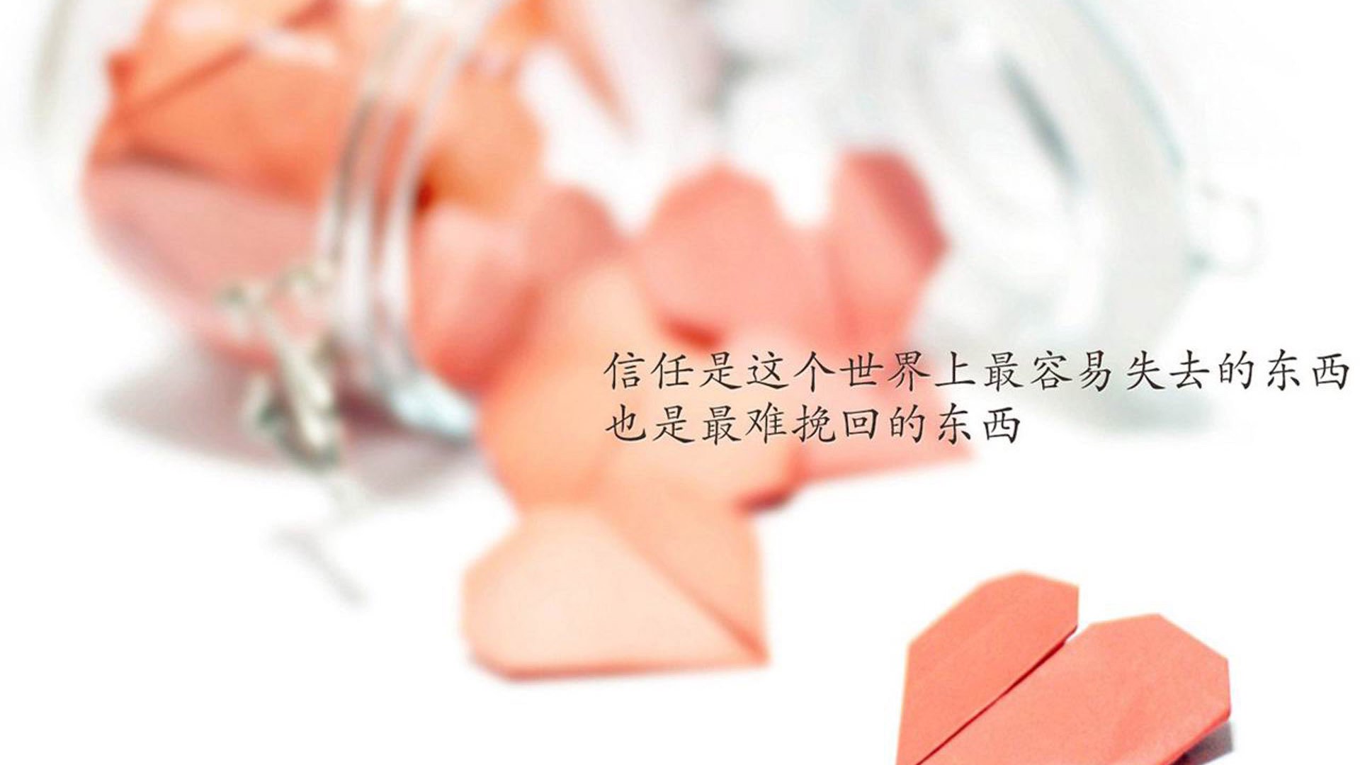 世界青少年趣味障碍赛在天津精彩进行，锻炼意志与合作，趣味障碍赛的比赛技巧