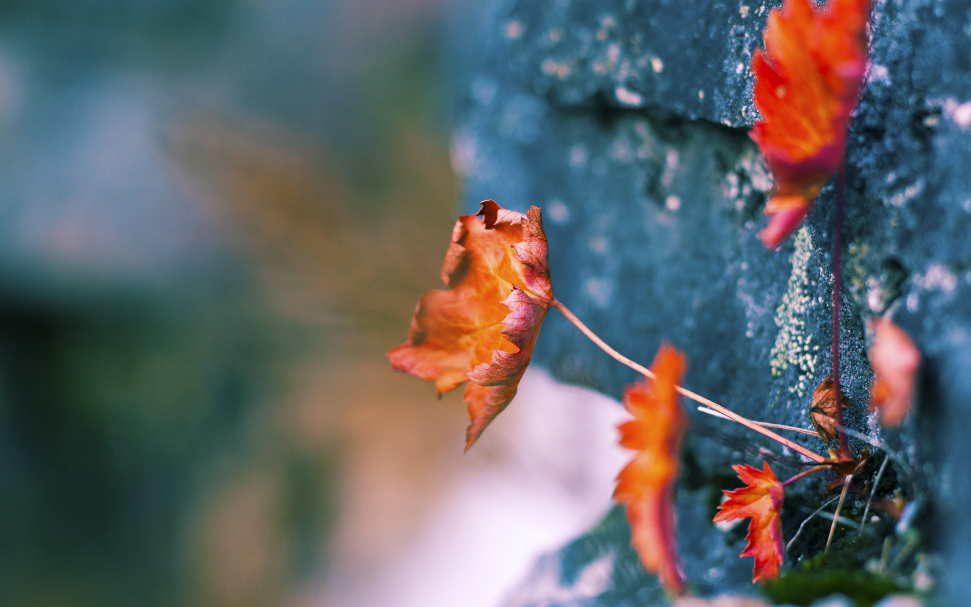 意甲球队利用大数据辅助进攻战术优化实践，足球意大利数据