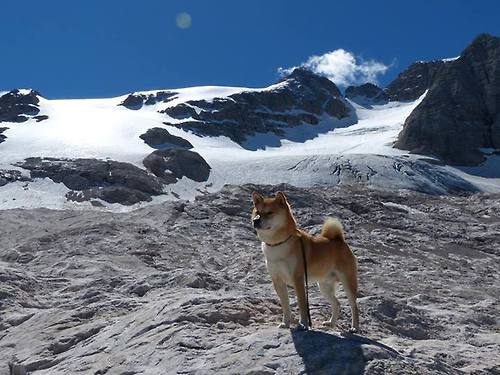 开云投注-法甲社媒互动内容与粉丝忠诚度构建，法甲信息